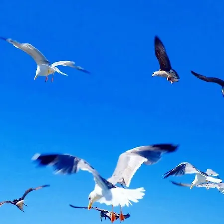 Villa Casa Do Terreiro Tavira